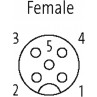 Murrelektronik Female M12, 5-Pole, Gray Shielded, 5m Cable Poles